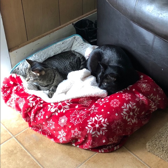 Meet your Posher, Wendie - Picture 4 of 9